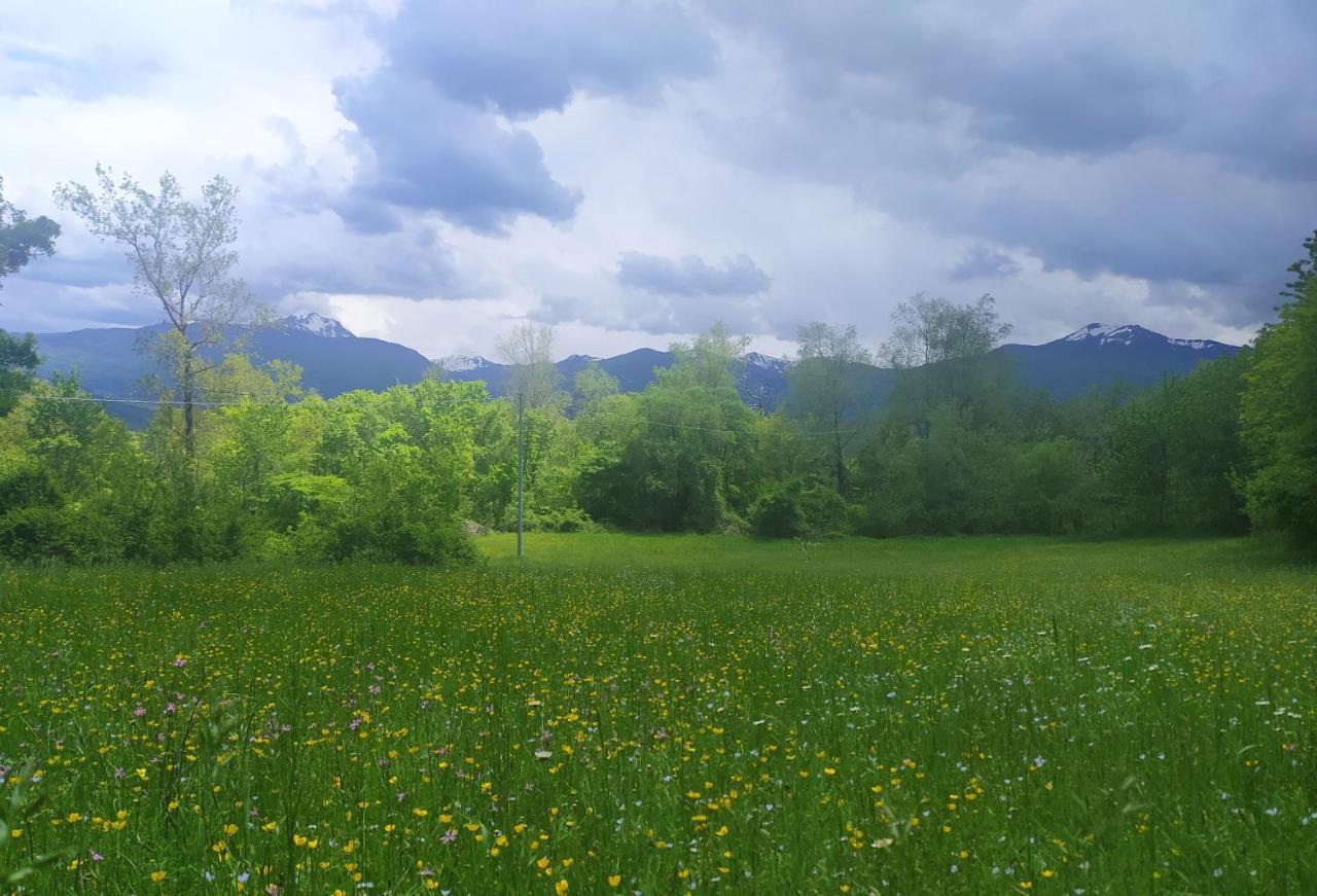Agriturismo Rio Ricco Busana Kültér fotó