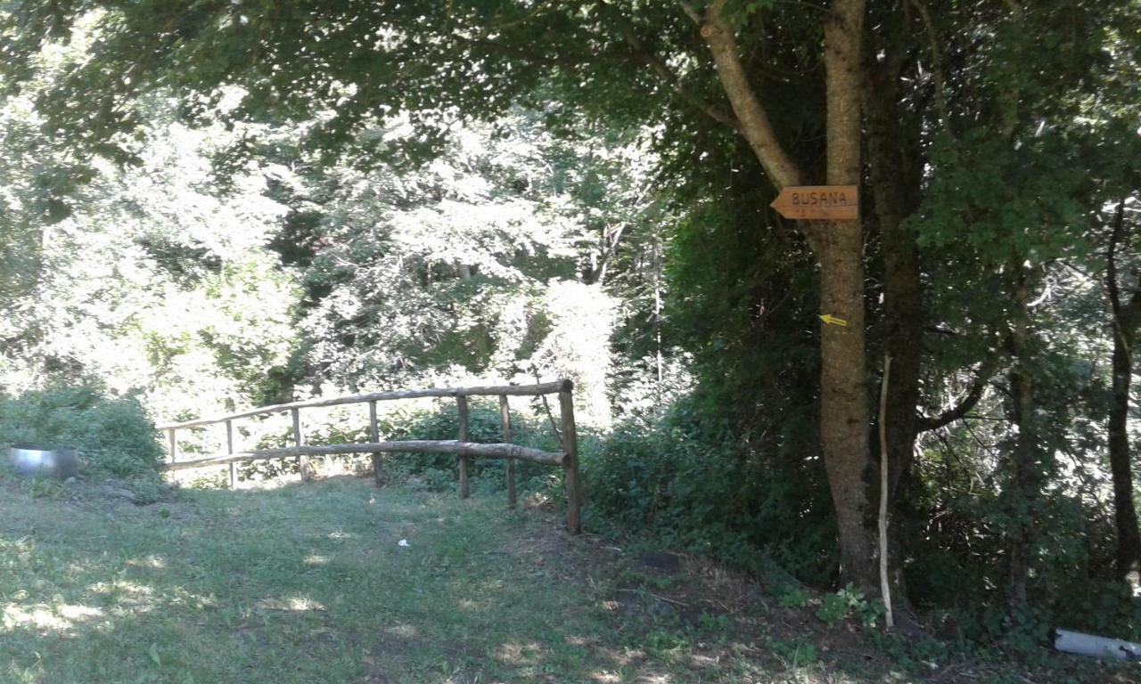 Agriturismo Rio Ricco Busana Kültér fotó