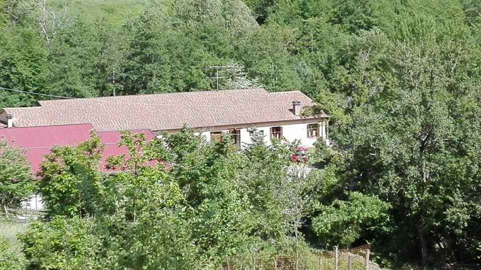 Agriturismo Rio Ricco Busana Kültér fotó