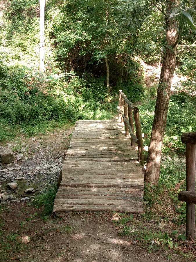 Agriturismo Rio Ricco Busana Kültér fotó