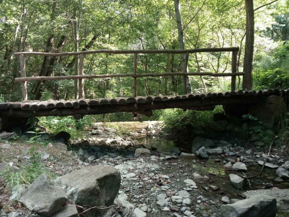 Agriturismo Rio Ricco Busana Kültér fotó